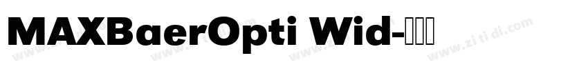 MAXBaerOpti Wid字体转换